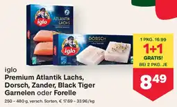 MPreis Premium Atlantik Lachs Dorsch Zander Black Tiger Garnelen oder Forelle Angebot