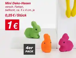 KiK Mini Deko Hasen Angebot