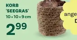 Bellaflora Korb seegras Angebot