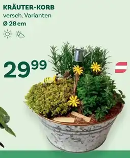 Bellaflora Kräuter korb Angebot