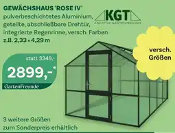 Bellaflora Gewächshaus rose iv Angebot