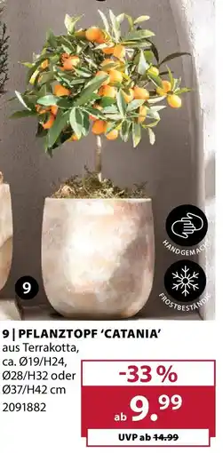 Dehner Pflanztopf 'catania' Angebot