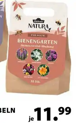 Dehner Dehner Natura Blumenzwiebel-Mischung Bienen-Garten Angebot