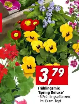 Bauhaus Frühlingsmix 'Spring Deluxe' Angebot