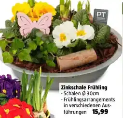 Bauhaus Zinkschale Frühling Angebot