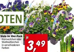 Bauhaus Viola Angebot