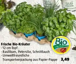 Bauhaus Frische Bio-Kräuter Angebot