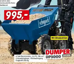 Bauhaus Dumper DP3000 Angebot