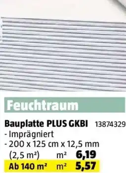 Bauhaus Bauplatte PLUS GKBI Angebot