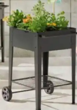 XXXLutz Blumenkasten Angebot