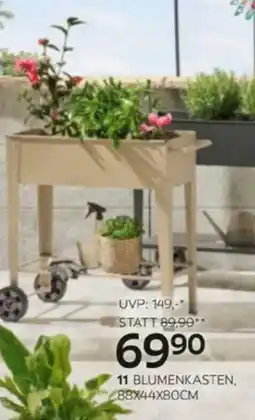 XXXLutz Blumenkasten Angebot