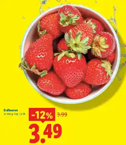 Lidl Erdbeeren Angebot