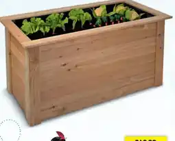 Hofer Hochbeet Lärche Angebot