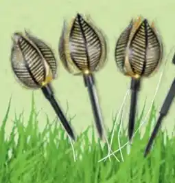 Hofer Belavi Solar LED-Wasserlilie Angebot