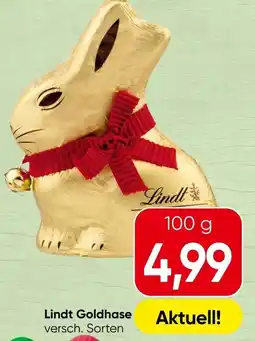 Spar Lindt Goldhase Angebot