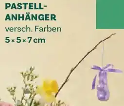 Bellaflora Pastell- anhänger Angebot