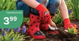 Bellaflora Handschuhe Angebot