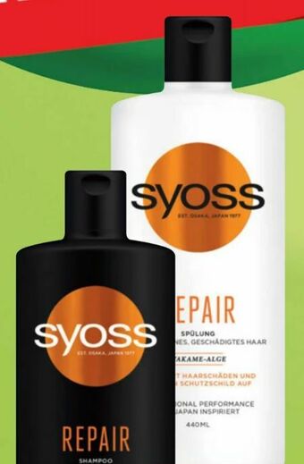 Spar Shampoo Angebot