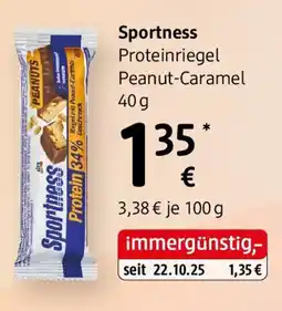 dm Sportness Angebot