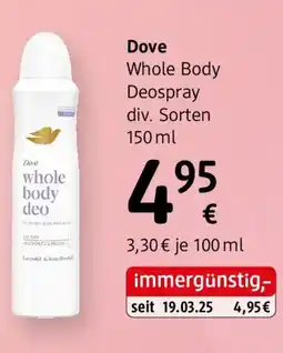 dm Dove Angebot