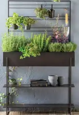 Dehner Dehner Hochbeet Provence Angebot