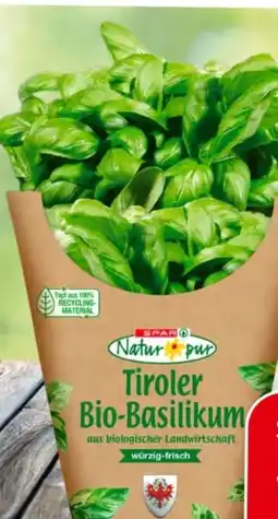 Eurospar Spar Natur pur Bio-Basilikum Angebot