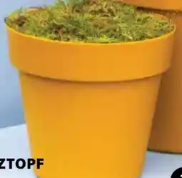 Dehner Dehner Pflanztopf Paris Angebot