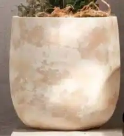 Dehner Dehner Pflanztopf Catania Angebot