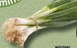 Spar Jungzwiebel Angebot