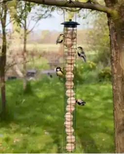 Dehner Dehner Natura Meisenknödel-Automat Angebot