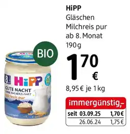 dm Hipp Angebot