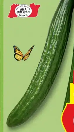 Hofer Hofer Marktplatz Gurke Angebot