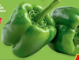 Hofer Hofer Marktplatz Paprika Angebot