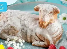 Hofer Monarc Osterlamm Angebot