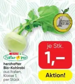 SPAR Gourmet herzhafter Bio Kohlrabi Angebot