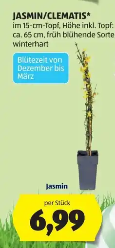 Hofer Jasmin Angebot