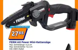 Action FERM AX Power Mini-Kettensäge Angebot