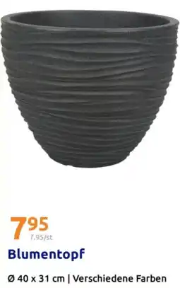 Action Blumentopf Angebot