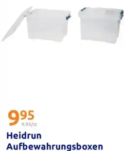 Action Heidrun Aufbewahrungsboxen Angebot