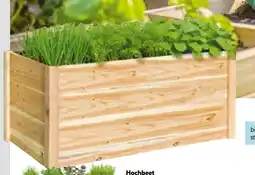 Hellweg Hochbeet Angebot