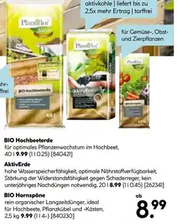 Hellweg BIO Hochbeeterde Angebot