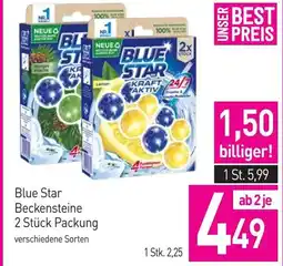 Sutterlüty Blue Star Beckensteine Angebot
