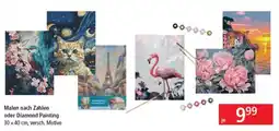 Pagro Diskont Malen nach Zahlen oder Diamond Painting Angebot