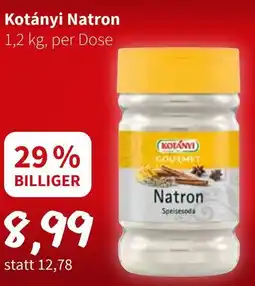 Eurogast Grissemann Kotányi Natron Angebot