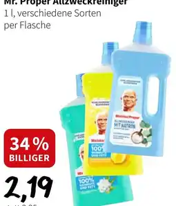 Eurogast Grissemann Mr. Proper Allzweckreiniger Angebot