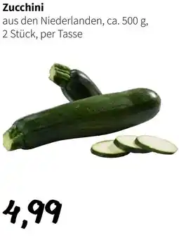 Eurogast Grissemann Zucchini Angebot