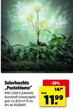 Hagebau Solarleuchte ,,Pusteblume Angebot