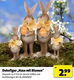 Hagebau Dekofigur Hase mit Blumen Angebot