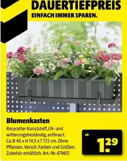 Hagebau Blumenkasten Angebot