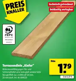 Hagebau Terrassendiele Kiefer Angebot